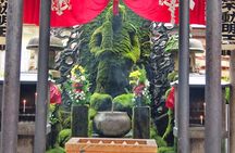 Full Day Guided Tour in Osaka by Van