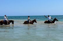 Private Horseback Riding And Ricks Cafe Tour.