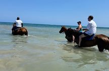 Private Horseback Riding And Ricks Cafe Tour.