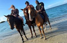 Private Horseback Riding And Ricks Cafe Tour.