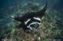 Try Scuba Diving for Beginners with manta rays (Non - Certified)