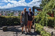 Mt. Fuji Five Lakes Customized Tour with Licensed Guide