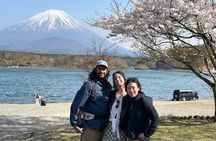 Mt. Fuji Five Lakes Customized Tour with Licensed Guide