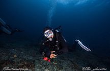 Try Scuba Diving for Beginners with manta rays (Non - Certified)
