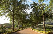 Wine Tasting Private Tour in Cape Winelands