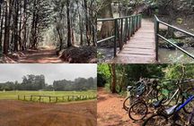 Day Tour to Karura Forest Nature Trail