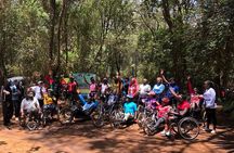 Karura Forest Nature Trail Day Tour