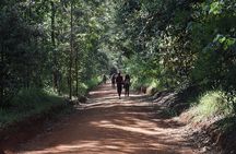 Karura Forest Nature Trail Day Tour