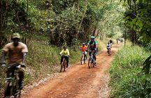 Karura Forest Nature Trail Day Tour