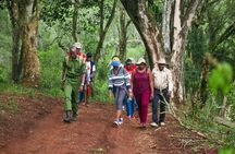 Karura Forest Nature Trail Day Tour