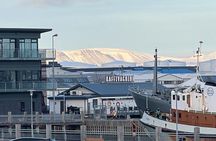 Reykjavik Food Tour - Old Harbor Walking Tour
