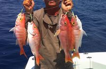 4 Hours Fishing and Snorkeling Sea Trip by Speed Boat - Hurghada