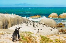 Cape Peninsula Day Tour