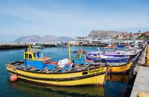 Cape Peninsula Day Tour
