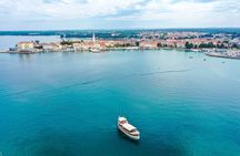 Dolphin Watching around Poreč Riviera with Boat Trip 