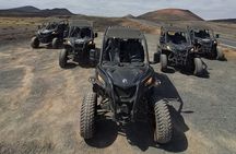 4-seater Mixed 3h Guided Buggy Volcano Tour in Lanzarote