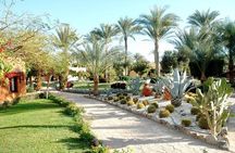 Elephantine Island, Agha Khan, Botanic Garden by Felucca in Aswan