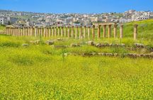 Histroy Tour in Jerash Ruins and Ajloun Castle