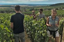 The Secrets of Champagne by a Passionate Winemaker (English)