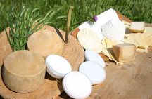 Live a shepherd experience with typical lunch in Bitti