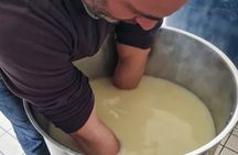 Live a shepherd experience with typical lunch in Bitti
