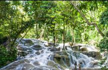 Private Dunn's River Falls and Tubing Tour From Ocho Rios 
