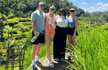  Monkey Forest, Temple, Waterfall and Rice Terrace in Ubud Tour