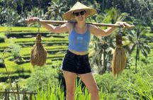  Monkey Forest, Temple, Waterfall and Rice Terrace in Ubud Tour