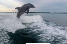 Private 2 Hour Dolphin & Eco Tour Marco Island, FL