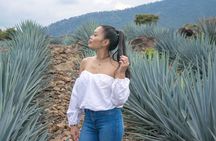 Experience an Artisanal Tequila Tour