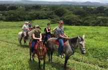 Miravalles Volcano Horseback Ride, Sloth Walk, Hot Springs &Lunch