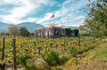 Tour to Maipo boutique wineries