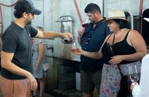 Tour to Maipo boutique wineries
