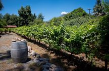 Tour to Maipo boutique wineries