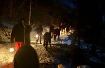 Llama hike with homemade, traditional cheese fondue