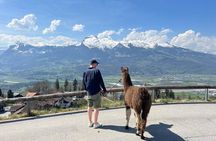 Llama hike with homemade, traditional cheese fondue