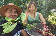 Coffee tour near the Agua Volcano with tasting
