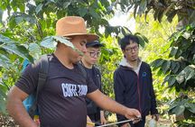 Coffee tour near the Agua Volcano with tasting