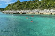 5 Hours Pigs and Turtles with Beach Stop in Bahamas
