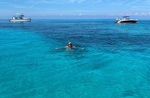 5 Hours Pigs and Turtles with Beach Stop in Bahamas