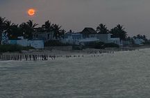 Beach Tour in Yucalpetén from Mérida