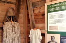 Full Day Plantation -N- Swamp Tour in New Orleans