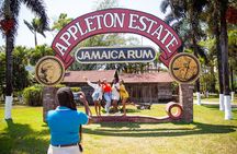 Appleton Estate, Black River Safari and YS Falls Zipline