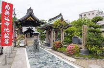 Local Food and Cultural Tour in Toyama