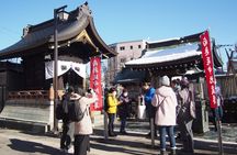 Small Group Sightseeing Tour Visit to Toyama with Lunch Included