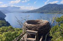 Full Day Bali North West Tour - Waterfall and Scenic Site