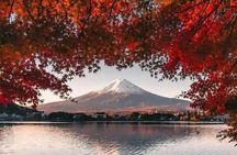 Tokyo: Instagram-Worthy Mt Fuji & Lake Kawaguchiko Day Trip