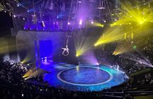 Shanghai Circus World Era Acrobatics Show Ticket