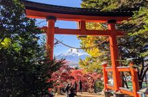 Tokyo: Instagram-Worthy Mt Fuji & Lake Kawaguchiko Day Trip