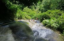 The Best Full Day Tour: Doi Suthep, Wat Phalat, Sticky Waterfall